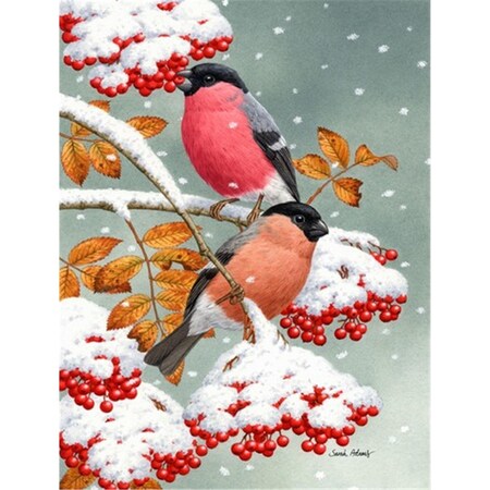 Carolines Treasures Eurasian Bullfinches Flag Canvas House Size ASA2063CHF